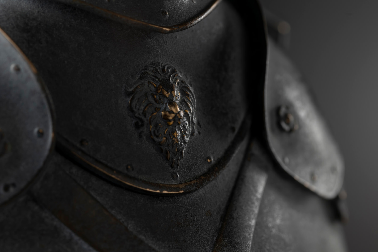 Nite — detail, chest armor with lion