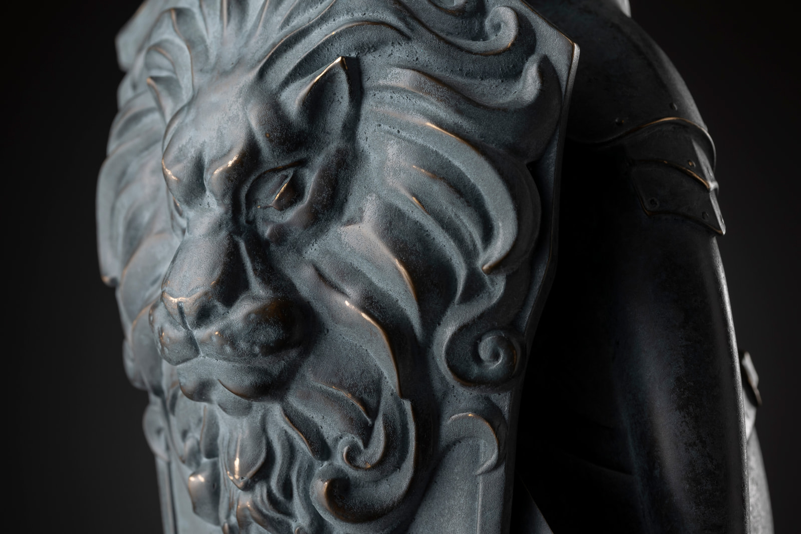 Nite — detail, the lion shield